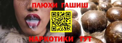 гашик Тула