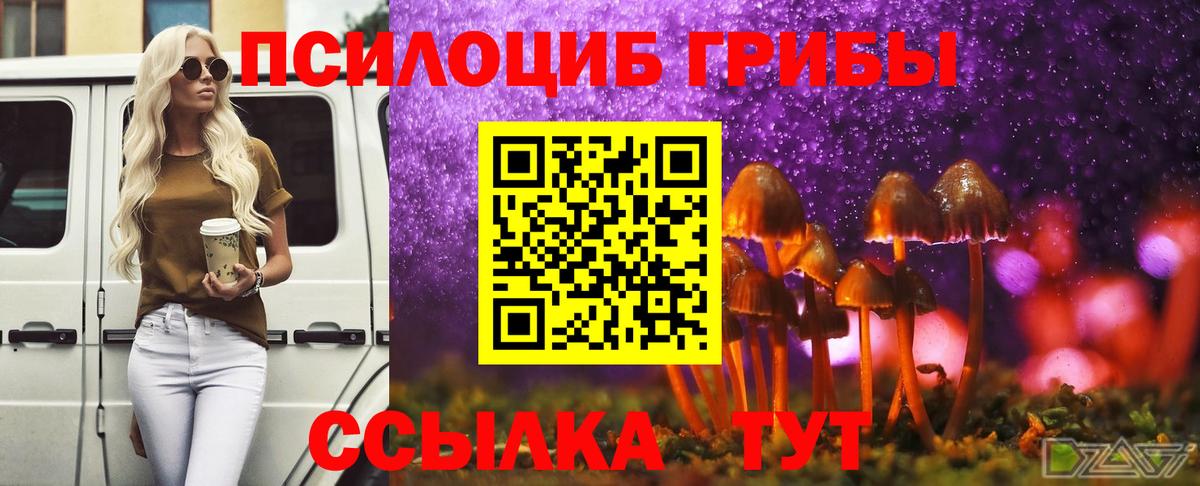 Галлюциногенные грибы Magic Shrooms Ахтубинск